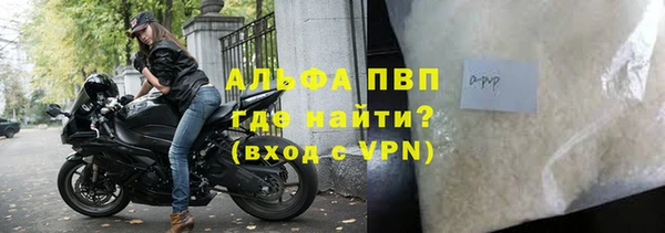 индика Богданович