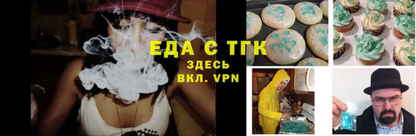 индика Богданович
