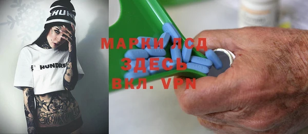индика Богданович