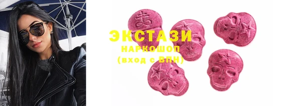 индика Богданович