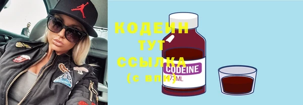 индика Богданович