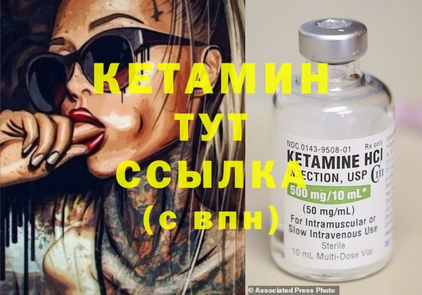 индика Богданович