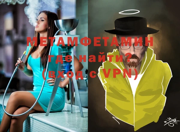 индика Богданович
