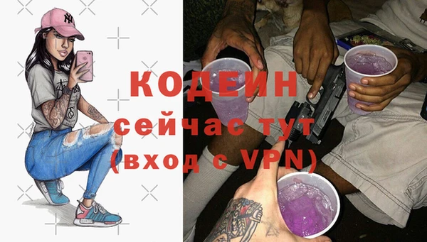 индика Богданович