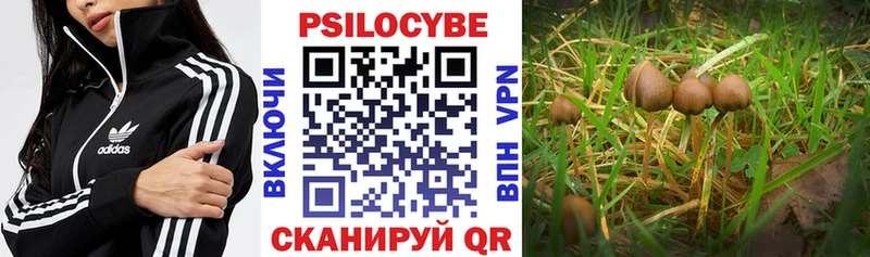 Галлюциногенные грибы GOLDEN TEACHER  Дубовка 