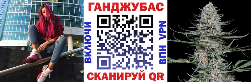 Канабис план  наркота  Дубовка 